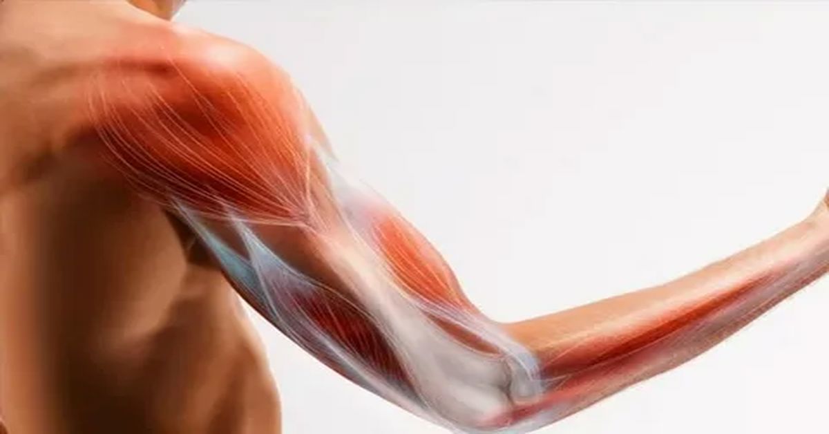 Kas Yırtığı Ameliyatı