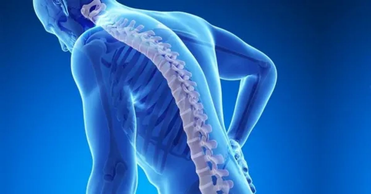 Kemik Erimesi Nedir?